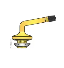 Valve pneu pl pour jante plate