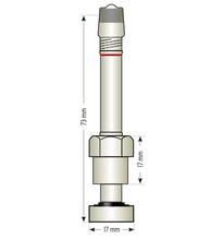 VALVE PL TPMS