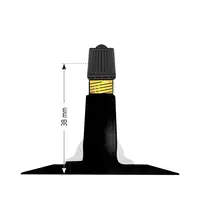 Valve pneu tr13 (caoutchouc)