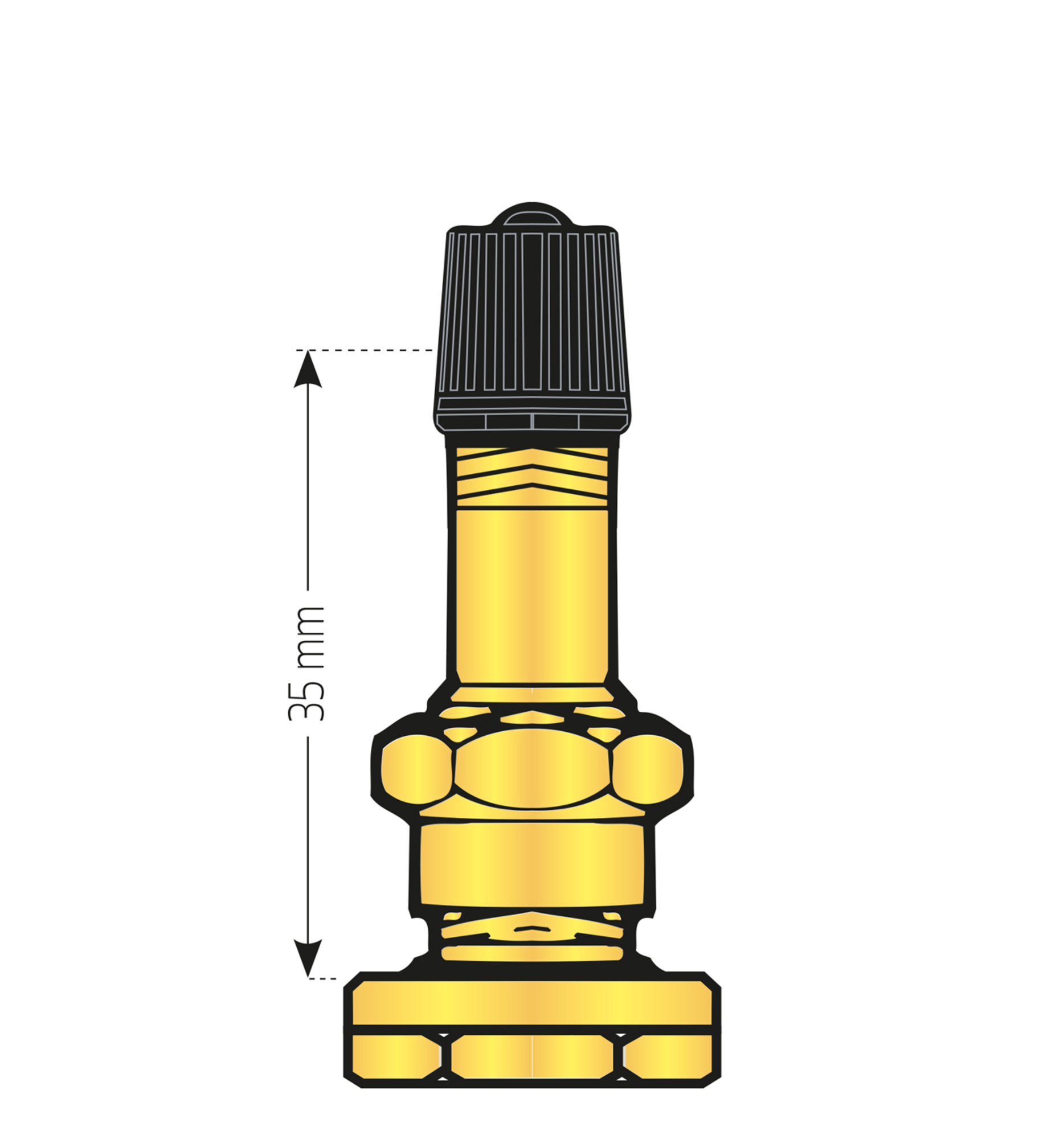 VALVE JANTE A BASE CREUSE