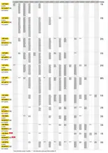 Chaussettes-neige AutoSock 13"/18"