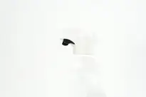 Dtecteur de fuites dilu