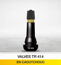 Valves tr414 en caoutchouc